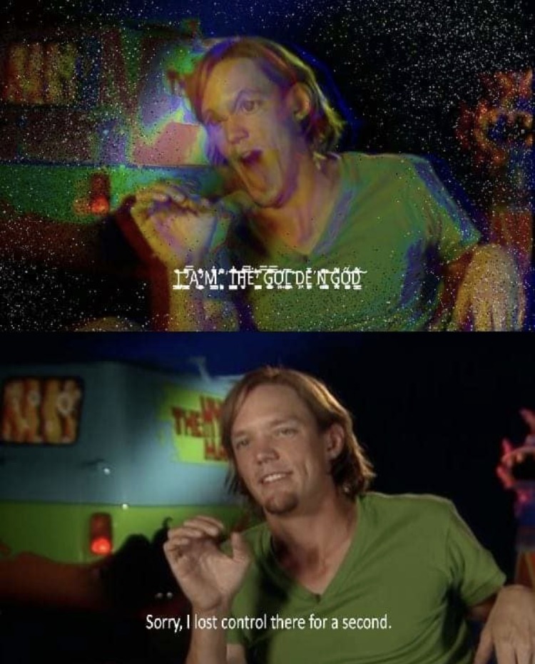 Scooby Doo Shaggy Meme