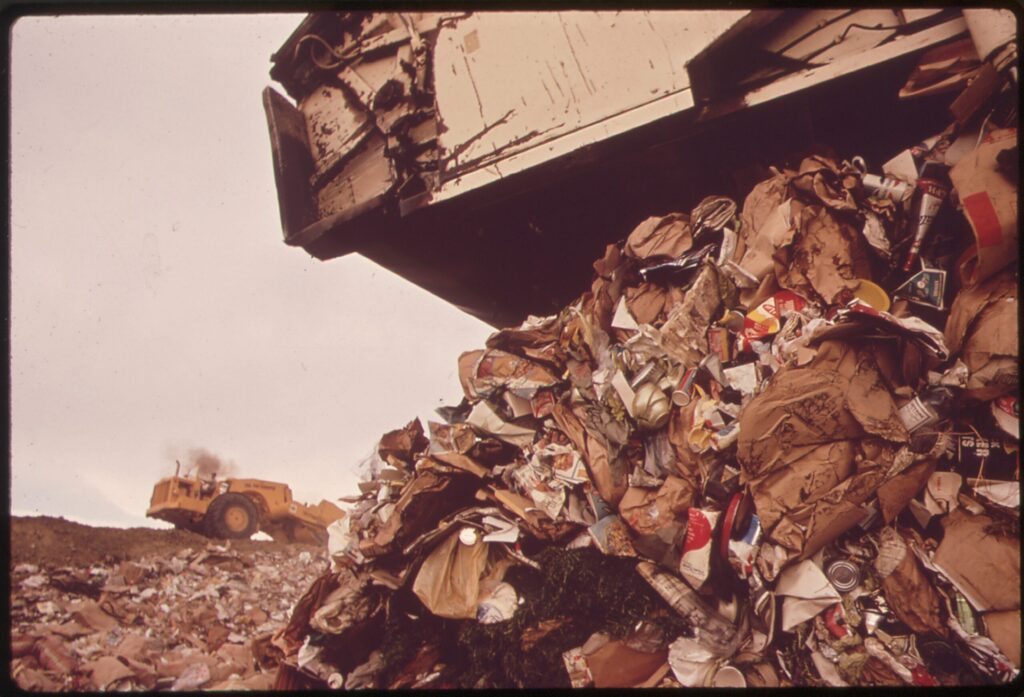 Beauty and Hope in the Waste Land The Voice