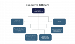 The executive officers are presented in a flowchart.