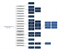 The offices of university services presented in a flowchart.