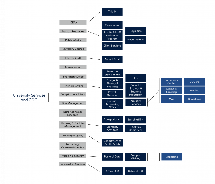 The offices of university services presented in a flowchart.