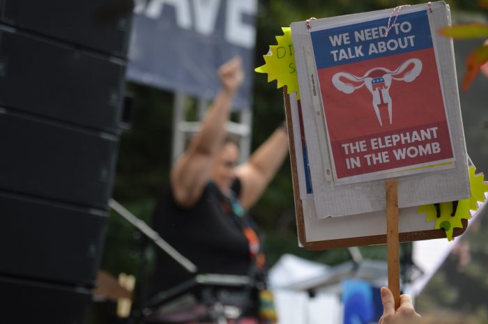 A sign reading 'We need to talk about the elephant in the womb.'