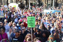 A crowd of demonstrators gather for the women's march. One protester holds a tall green sign that reads, "Women's rights are human rights."