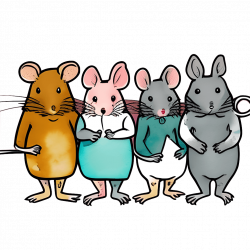 Four rats standing together looking friendly.