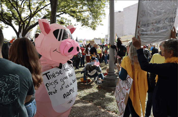 One protestor gets creative with their activism, outfitted in an inflatable pig costume.