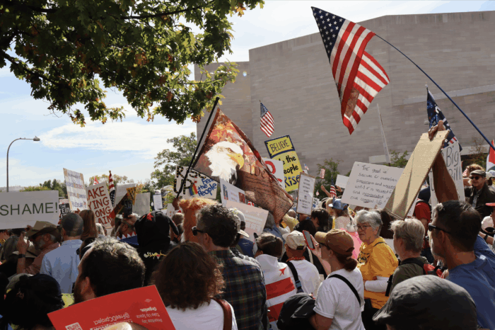 More than just signs, other protesters brought flags to "No Kings."
