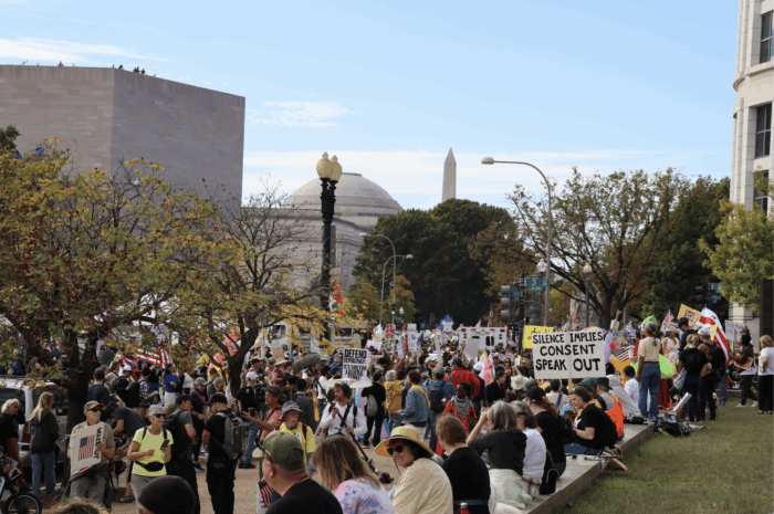 The crowd outside the rally. In the distance, the top of the Washington Monument can be seen.