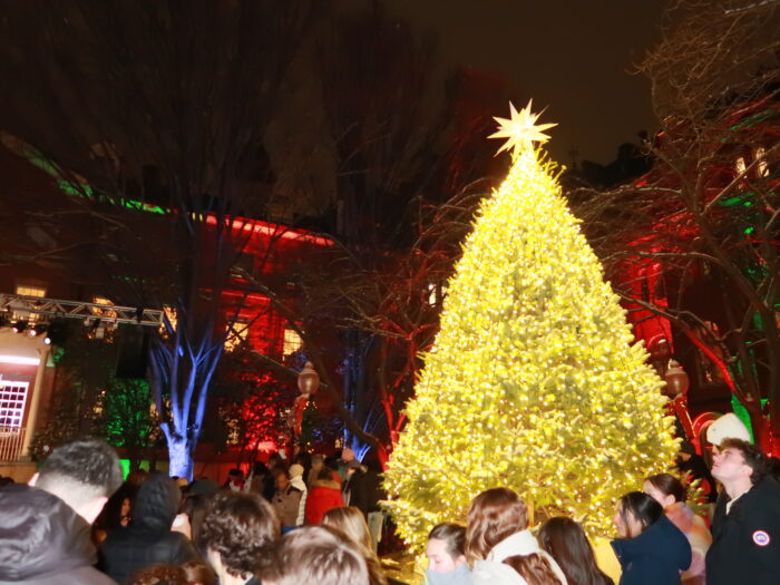 The lit Christmas tree, surrounded by spectators.