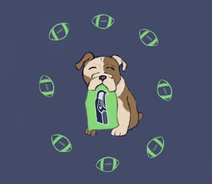 How to become a Seattle sports fan