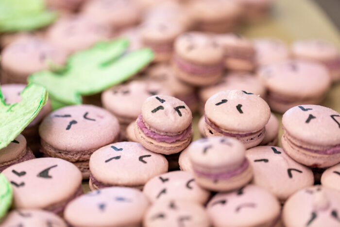 A closeup image of the wrathful grapes macarons, with detailed faces.